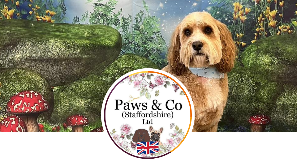Paws & Co (Staffordshire)