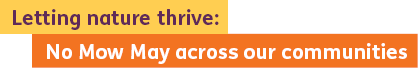 Letting nature thrive: No Mow May across our communities