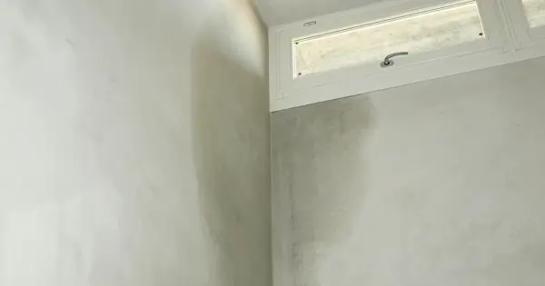 Damp