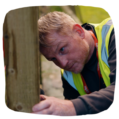 Frames Examples (21)